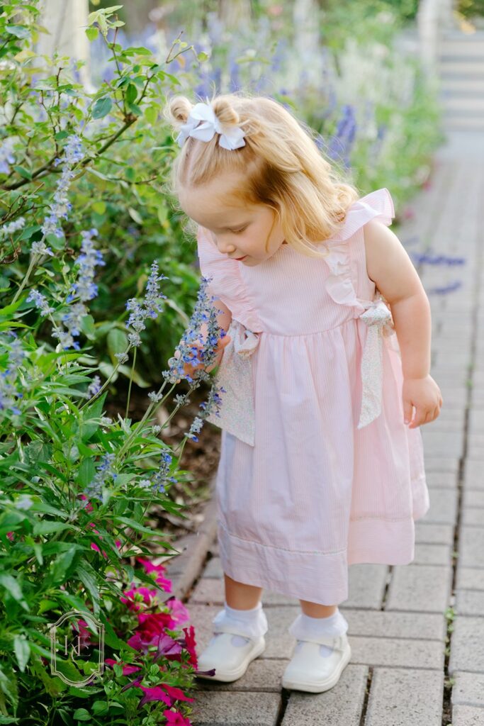 Little girl sniffs a flower at The Antique Rose Emporium